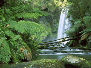 hopetoun-falls-aire-river-otway-national-park-victoria-australia EC3 Global