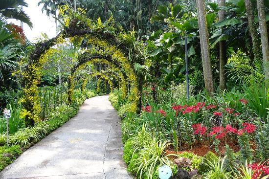 Le Jardin botanique de Singapour