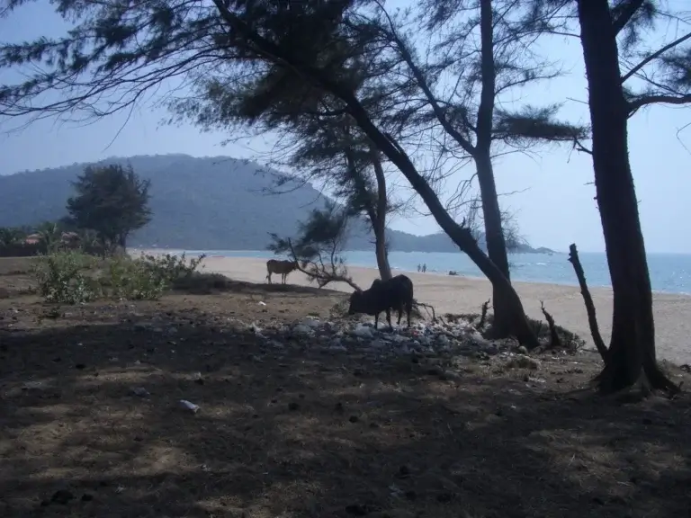 Agonda Beach – plage en Asie