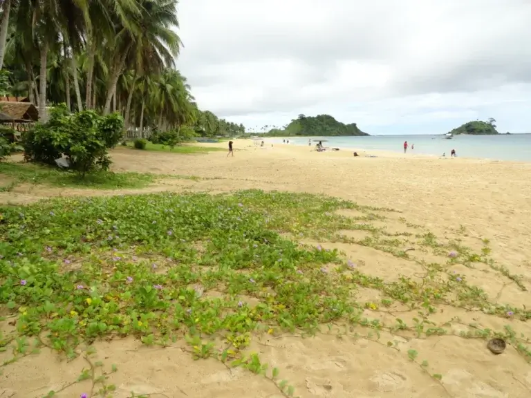 Nacpan Beach – plage en Asie
